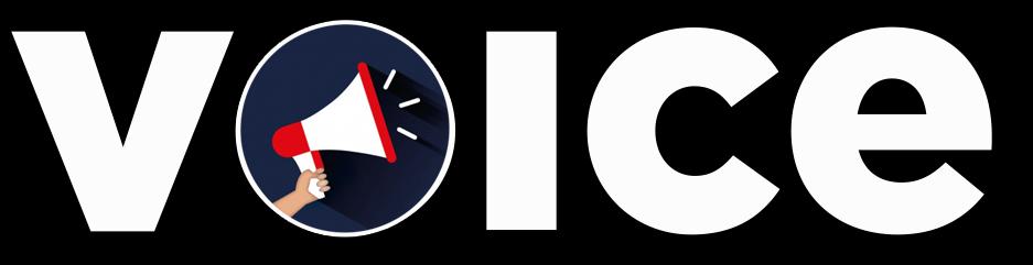Voice logo with text